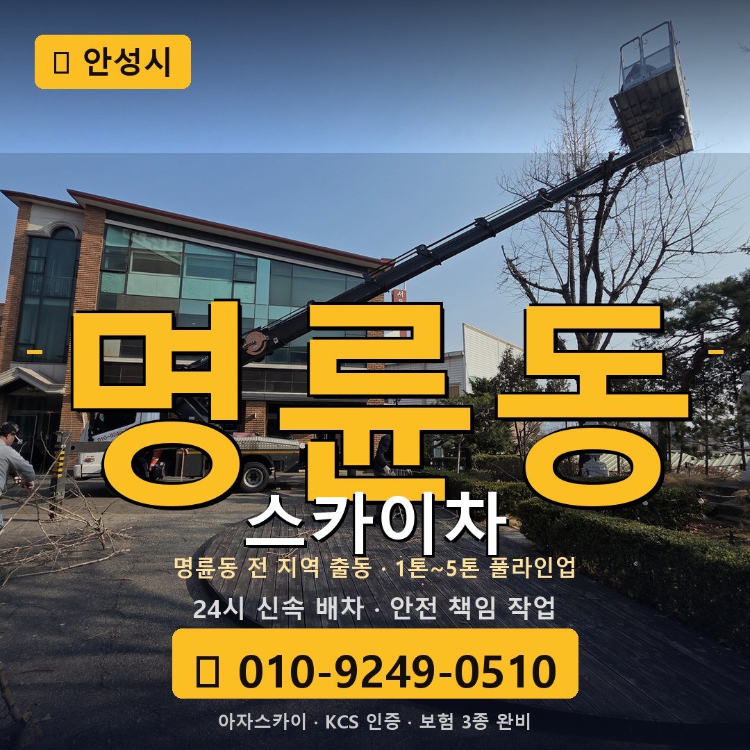 안성 명륜동 스카이차 - 아자스카이
