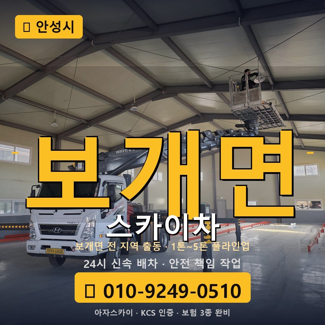 안성 보개면 스카이차 - 아자스카이